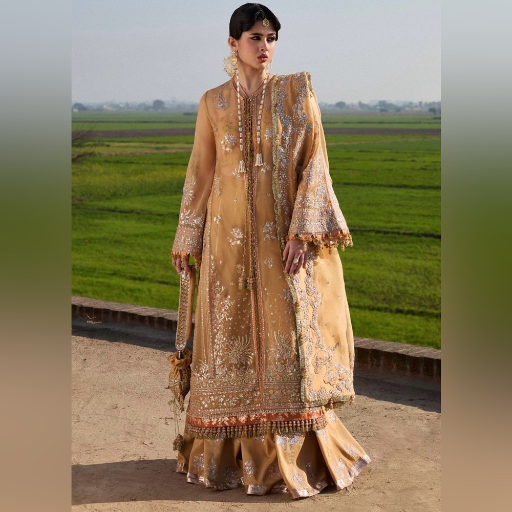 Pakistani Indian Brand Hussain Rehar festive fancy party wear dress suit